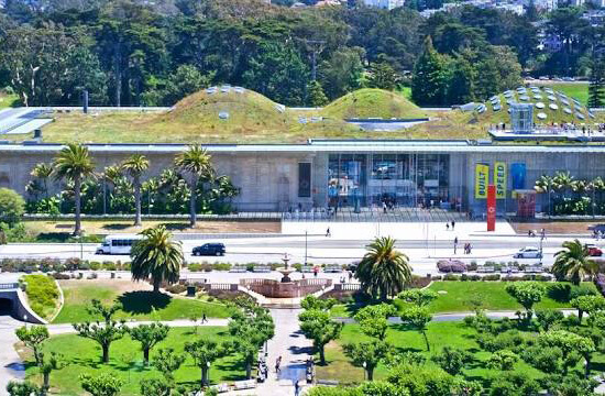Discover the California Academy of Sciences | Plan Visit Today
